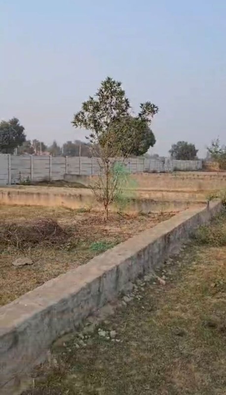 undefined, saini  350 Sq.Yd. Plot In Saini Greater Noida 10355294