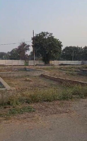 Plot Area in  Plot at Saini – for Sale