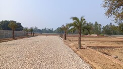 Plot For Sale in Gosainganj