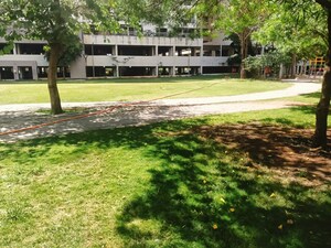 1 BHK Apartment – Garden View at Godrej Horizon, Mohammadwadi - for Rent