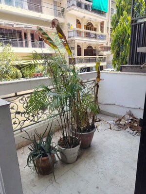 Balcony in 3 BHK Builder Floor at Green Park – for Sale