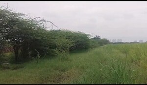 Plot Area in  Plot at Kolwadi – for Sale