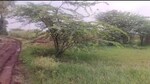 120000 Sq.Ft. Plot in Kolwadi