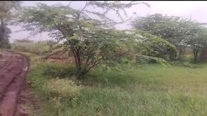  Plot For Sale in Kolwadi