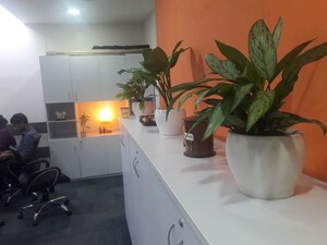 Furnished Amenities in  Office Space at Race Course Road – for Rent