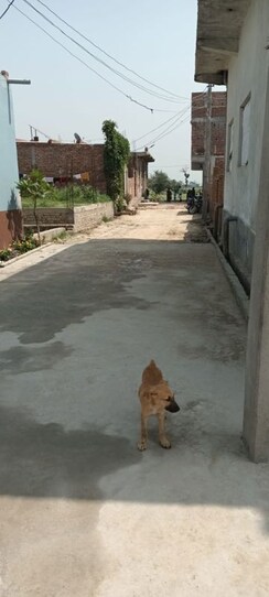 Plot For Sale in Sector 144