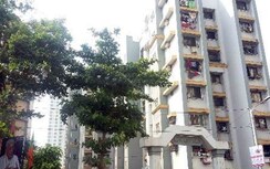 1 BHK Apartment For Rent in Acme Aakansha I