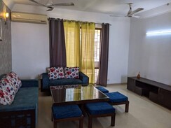 3.5 BHK + Pooja Room,Servant Room,Study Room,Extra Room,Basement,Store Room Apartment For Rent in DLF Park Place