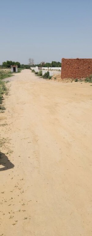 Plot Area in  Plot at Dankaur Inner Township, Dankaur – for Sale