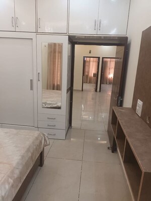 3 BHK Apartment For Rent in Preet Colony