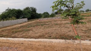 Plot Area in  Plot at Dankaur Inner Township, Dankaur – for Sale