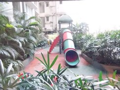 1 BHK Apartment For Rent in Omkar Meridia