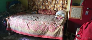 1.5 BHK Apartment For Rent in Dum Dum Cantt