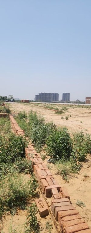 Plot Area in  Plot at Dankaur Inner Township, Dankaur – for Sale