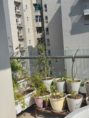 Balcony in 3.5 BHK Apartment at Paras Irene, Sector 70a – for Rent