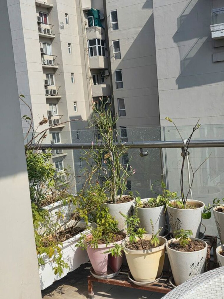 Balcony, paras-irene 3.5 Bedroom 2150 Sq.Ft. Apartment In Sector 70a Gurgaon 10356644
