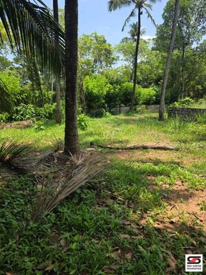  Land For Sale in Mopa