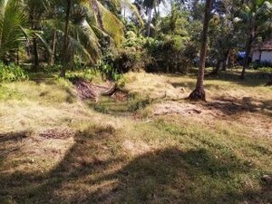 Plot Area in  Land at Mopa – for Sale