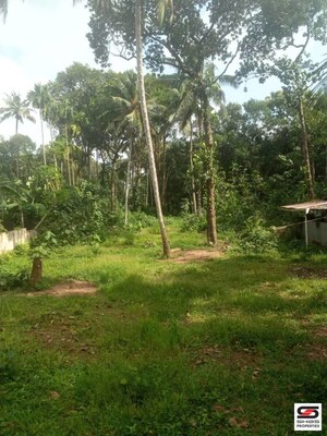 Plot Area in  Land at Mopa – for Sale