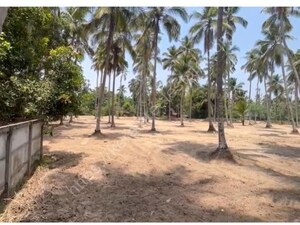 Plot Area in  Land at Mopa – for Sale