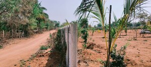   Plot at Narayankhed – for Sale