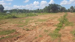 Plot For Sale in Dasannapet
