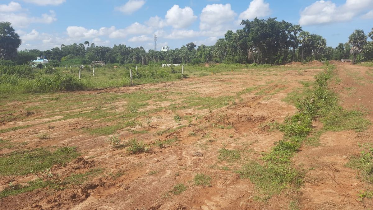 Plot For Sale in Dasannapet
