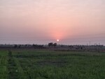 4200 Sq.Yd. Plot in Adajan