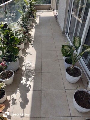 Balcony in 3 BHK Builder Floor at Smart World Orchard, Sector 61 – for Sale
