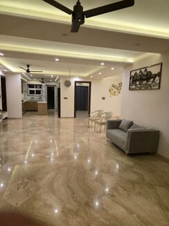 3 BHK + Pooja Room,Study Room Builder Floor For Rent in Shalimar Bagh