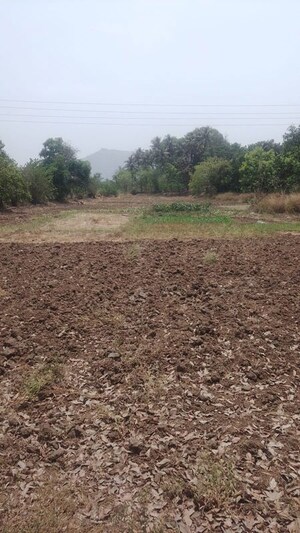 Plot Area in  Plot at Kharghar – for Sale