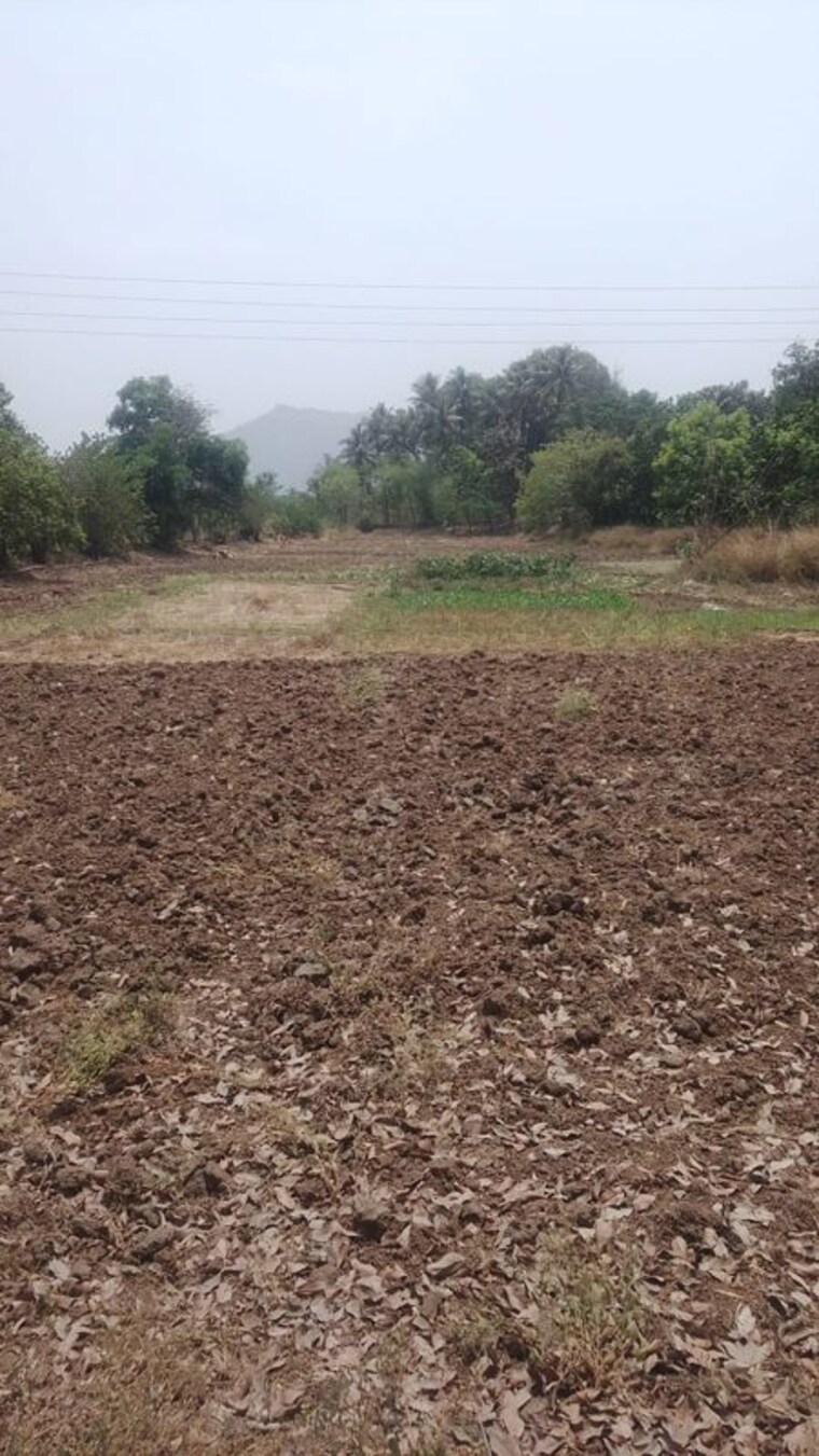 undefined, kharghar  1089 Sq.Ft. Plot In Kharghar Navi Mumbai 10357221