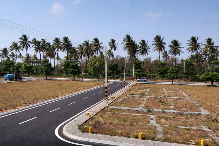undefined, robertson pet  1200 Sq.Ft. Plot In Robertson Pet Kolar 10316707