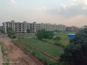 Plot Area in 3 BHK Builder Floor at Manohar Singh Palm Residency, North Mullanpur – for Sale