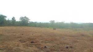 Plot Area in  Plot at Kharghar – for Sale