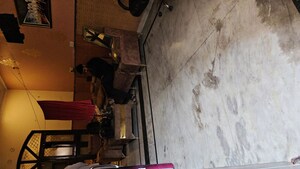 6 BHK Independent House For Sale in Mahendra Enclave, Shastri Nagar