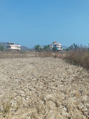 Plot Area in  Plot at Pen – for Sale