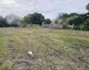 Plot Area in  Industrial Plot at Sector 24 – for Sale