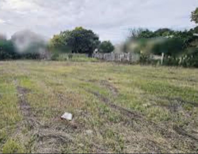 undefined, sector 24 Commercial Industrial Plot 2000 Sq.Mt. In Sector 24 Faridabad 10358260