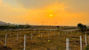  Plot For Sale in Kasarsai