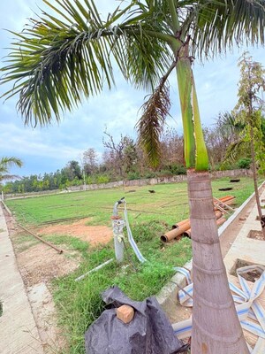 Plot Area in  Plot at Biharigarh – for Sale