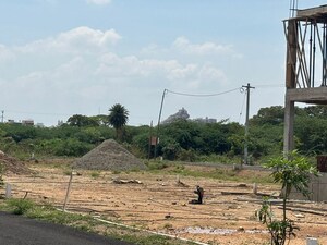 Plot Area in  Plot at Annamalai Nagar – for Sale