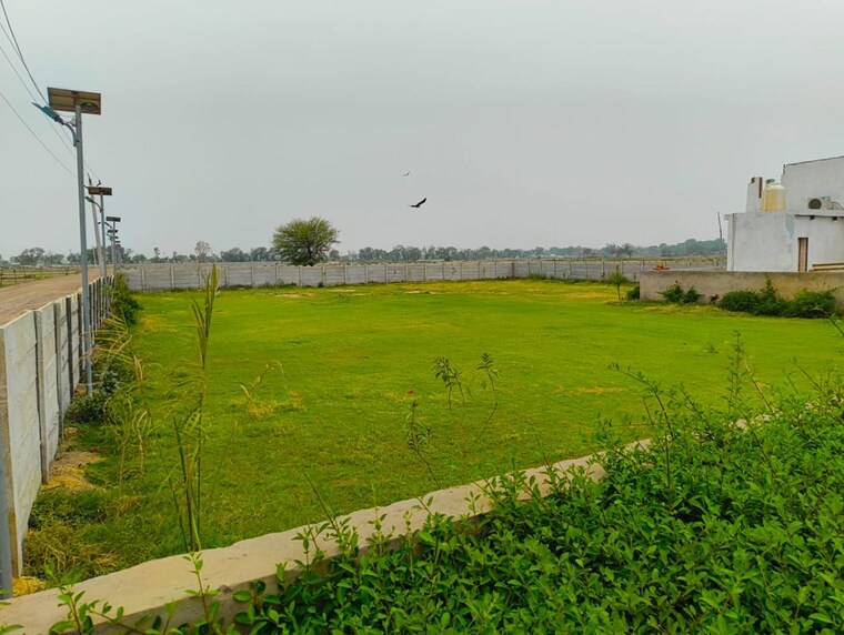 undefined, chaitanya vihar  100 Sq.Ft. Plot In Chaitanya Vihar Vrindavan 10358806