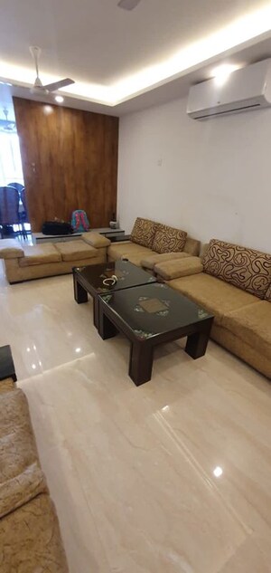 Living Room in 3 BHK Apartment at Conscient Hines Elevate, Sector 59 – for Rent