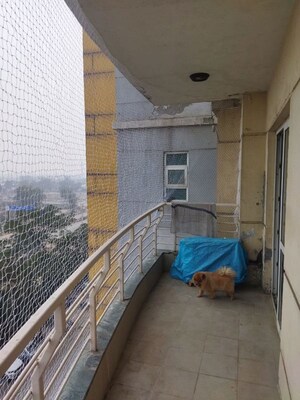 Balcony in 3.5 BHK Apartment at KLJ Greens, Sector 77 – for Sale