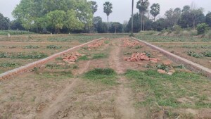 Plot Area in  Plot at Maner – for Sale