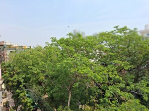 3 BHK Builder Floor – Garden View at Chittaranjan Park - for Rent