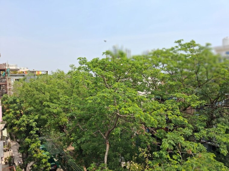 Garden, chittaranjan park 3 Bedroom 160 Sq.Yd. Builder Floor In Chittaranjan Park Delhi 10359235