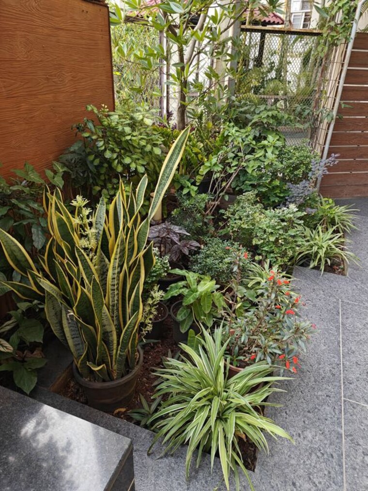 Exterior View, kolte-patil-24k-glitterati 3 Bedroom 2700 Sq.Ft. Apartment In Pimple Nilakh Pune 10359299