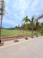 245 Sq.Yd. Plot in Biharigarh